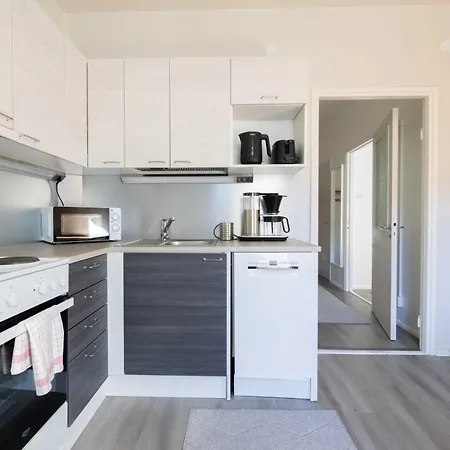 Vuokrakaista Premium Center 44m2 1-3person Free Parking Appartement